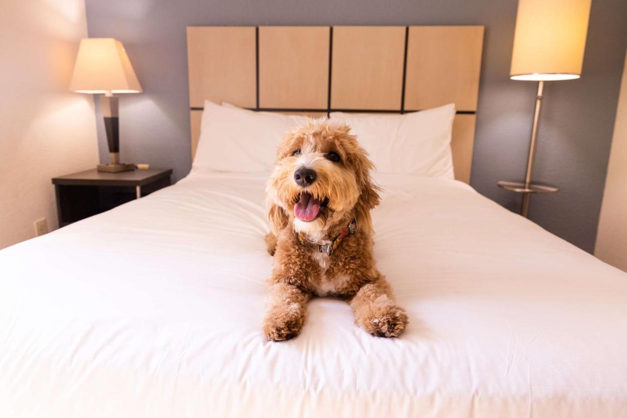 Sonesta Simply Suites Chicago Waukegan Eksteriør billede